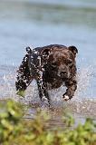 STAFFIE 159